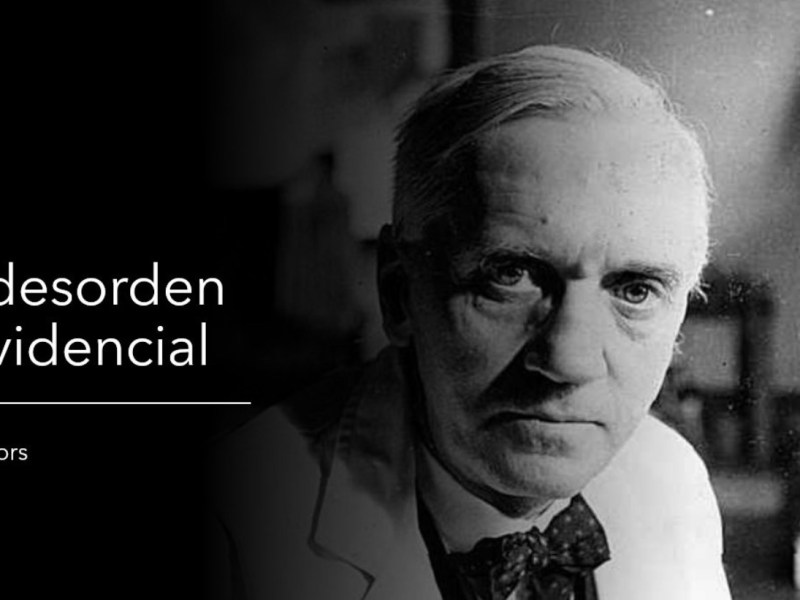 Un desorden providencial